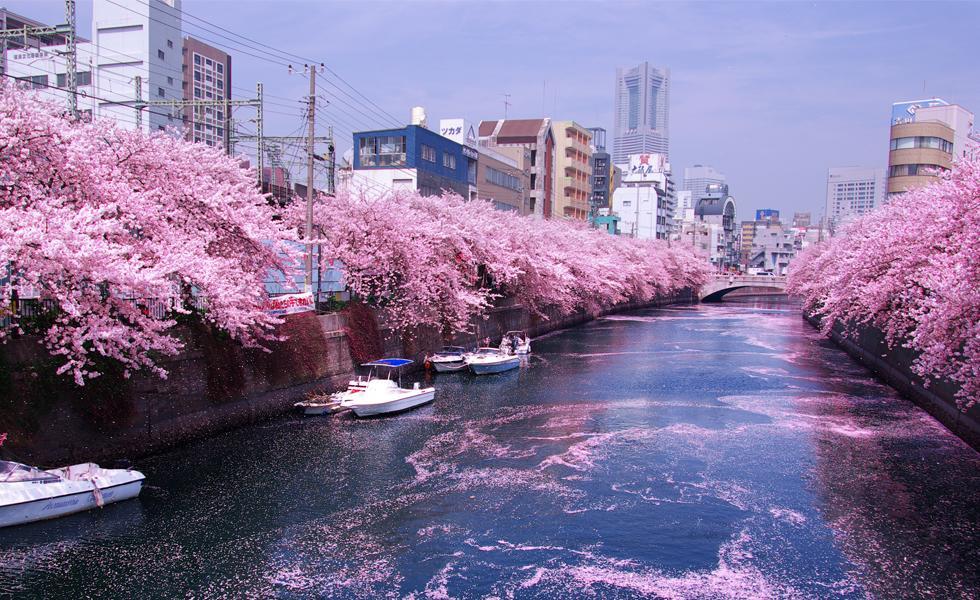 Junfukuya Apartment Osaka Bagian luar foto